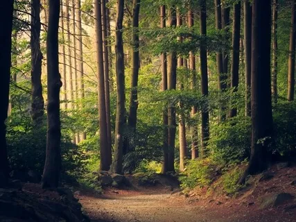 Mantra Of Gratitude & Open Awareness