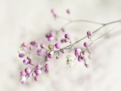 Mantra To Overcome Difficult Emotional States