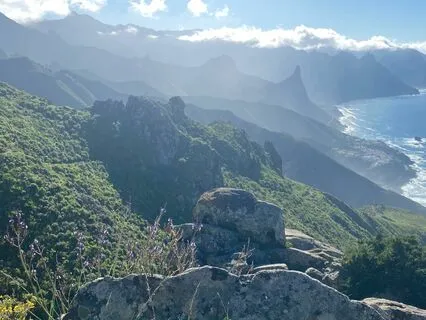 Mantra YAM-Unconditional Love, Compassion, Joy Of Life