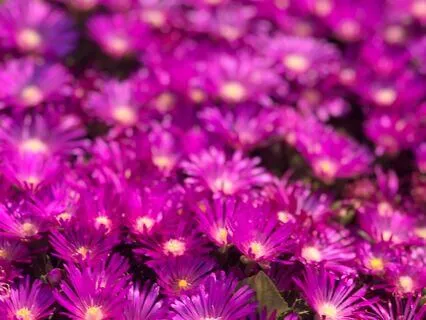 Mantras For Putting Yourself First (Prioritize You)