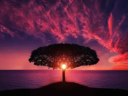 Mantras: Words To Train The Mind