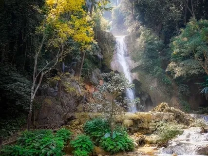 Mapping The Present Moment