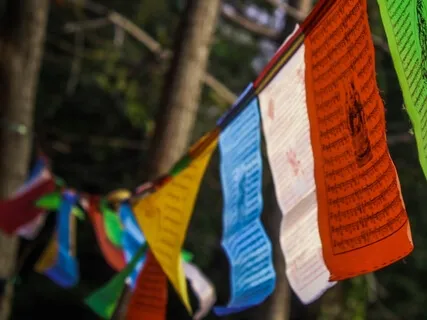 Mara: What's Halting My Enlightenment?