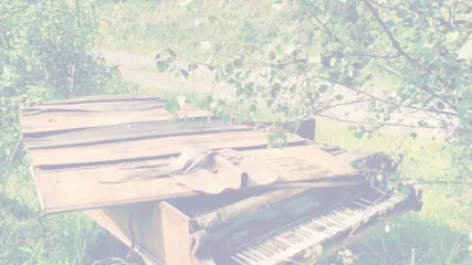 Marc DiKamari: Tagessaiten - Frage