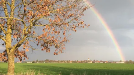 Marc DiKamari: Tagessaiten - Melody