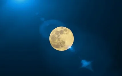 Marc DiKamari: Tagessaiten - Sonata Senjor