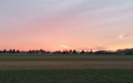 Marc DiKamari: Tagessaiten - Taxim