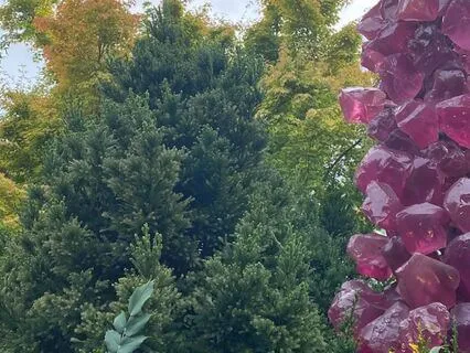 March 2025 Oracle Reading