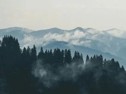 March 2026 Psychic Forecast