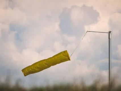 March - Curiosity, Insight, Forward Momentum