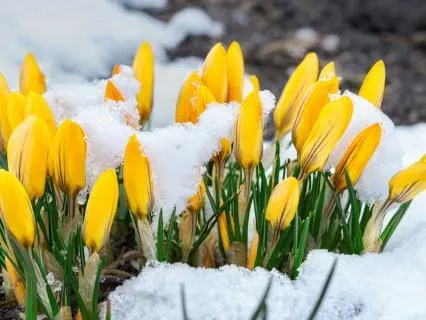 March Energy Update: Release, Rebalance, Align, Activate