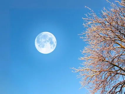 March Full Moon In Virgo Astrology Meditation