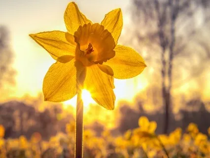 March Tarot Reading  - Transformation & Manifestation