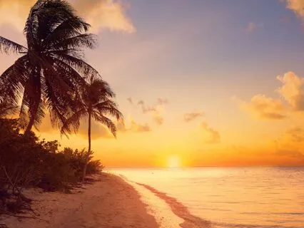 Maria's Past Lives Exploration: Original Bedtime Story