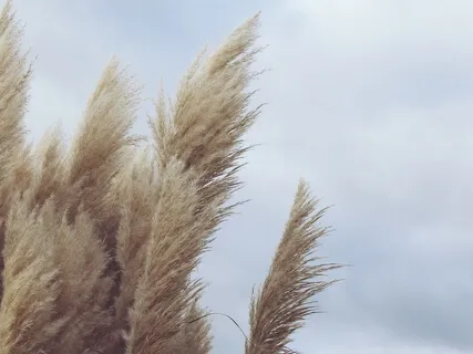 Marimba 432 Hz With Soft Rain And Wind Background, Mindfulness Meditation