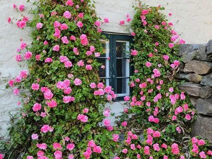 Marriage: Romantic Love Is Not Enough