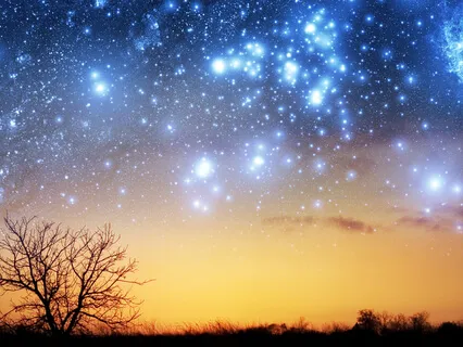 Mary Had A Little Lamb