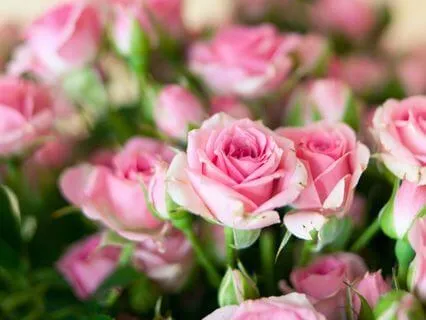 Mary Magdalene Meditation: Healing The Divine Masculine