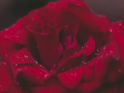 Mary Magdalene Meditation