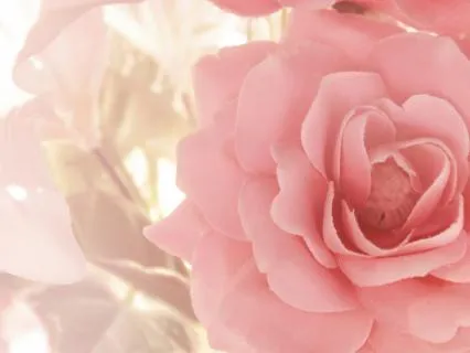 Mary Magdalene Rose Meditation – Renew, Regenerate, Recode