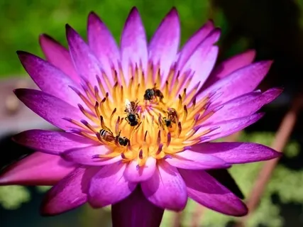 A Deep Journey Into Your Chakras