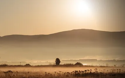 Mask Your Tinnitus With Brown Noise Ambiance