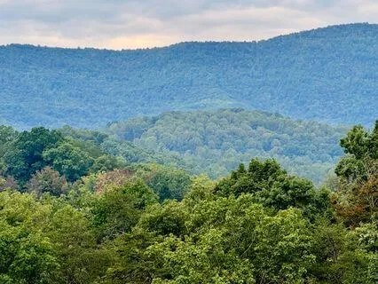 Masking Fatigue: An IFS Meditation To Offer Presence & Care