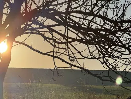 Masking Fatigue: Guided IFS Empathy & Embodiment