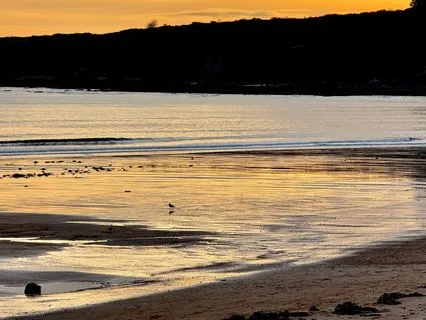 Masking Fatigue: Guided IFS Meditation & Empathic Witnessing