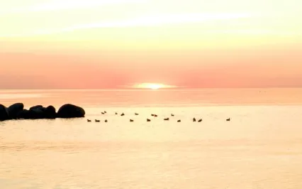 Massenet's Meditation (Piano Relaxation)