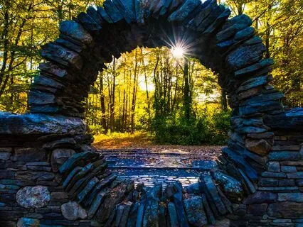 Master Cell Meditation