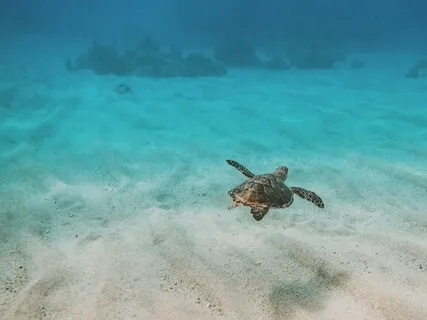 Mastering Anxiety With The Power Of Pure Thought