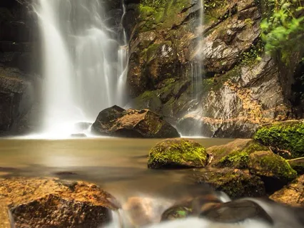 Mata Atlântica Soundscapes • Little Cascade • Midday