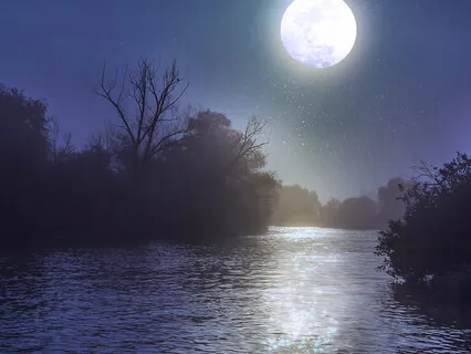 Mata Atlântica Soundscapes • River, Roosters & Birds • Early Morning