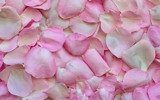 Materialize Love In Your Life Today