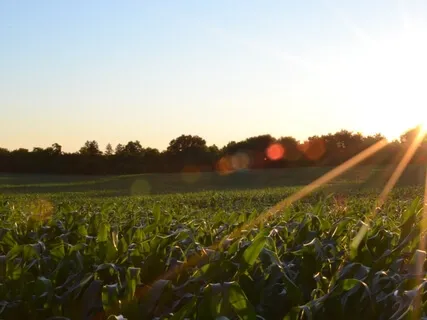 Morning Motivation (With Bible Verse)