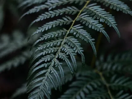 Matter Of Time (Reimagined)