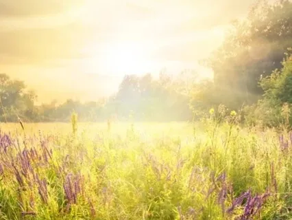 Matthew 6:34 Mindfulness Meditation 