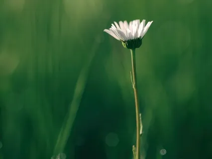 You Matter, You Are Worthy