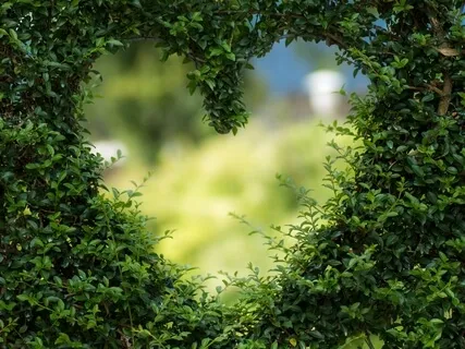 Maximize Love Around And Within You