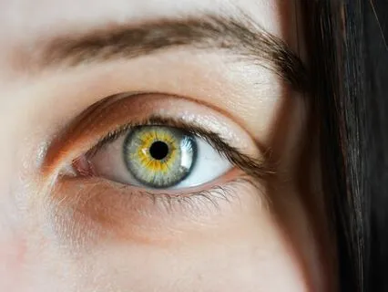 Delta Waves Music for Complete Focus