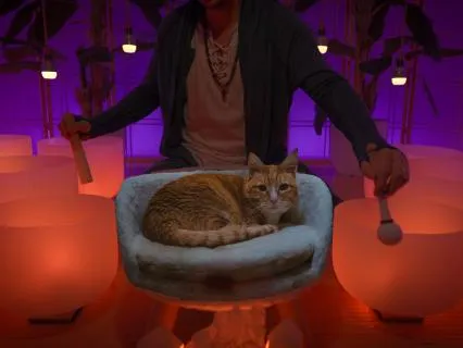 Maximum Strength Sleep Music (12 Hour Version)