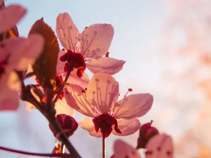 Vibration 1 Melodic Incantation: Beginnings And Independence