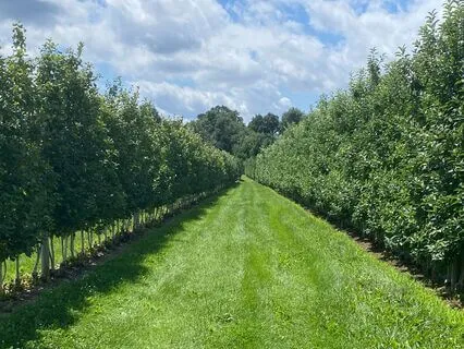 May 2025 Oracle Reading