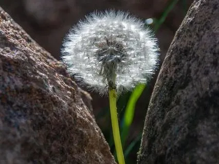 May 2026 Astrology Forecast: The Shape Of Becoming