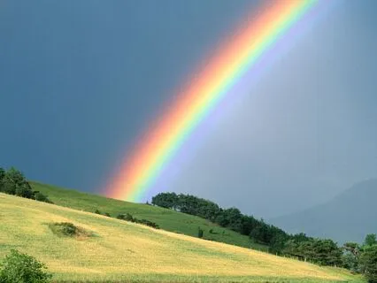 May All Be Well Happy & Free