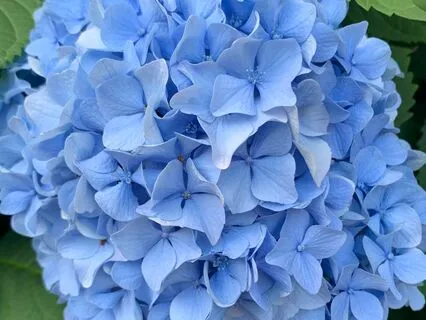 May All Beings Be Happy