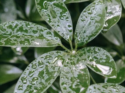 May Blessings Rain Down Upon You & Awaken To Your Own Worth!