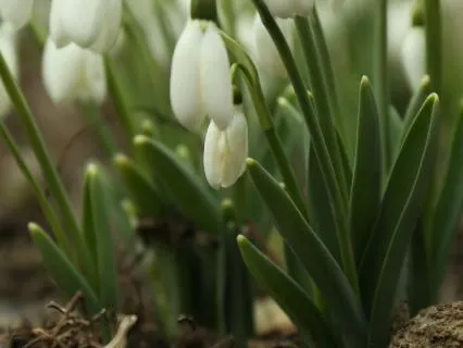 May: Earth Energy - Respect & Belonging