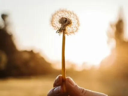 May It Be So: Poetic Affirmations For Aliveness, Joy & Peace